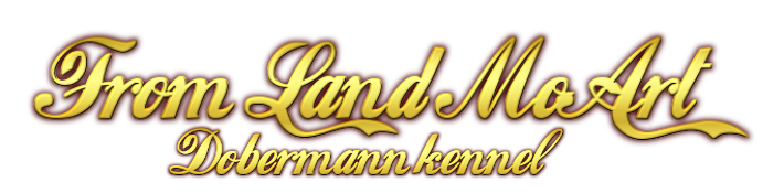 Питомник доберманов From Land MoArt